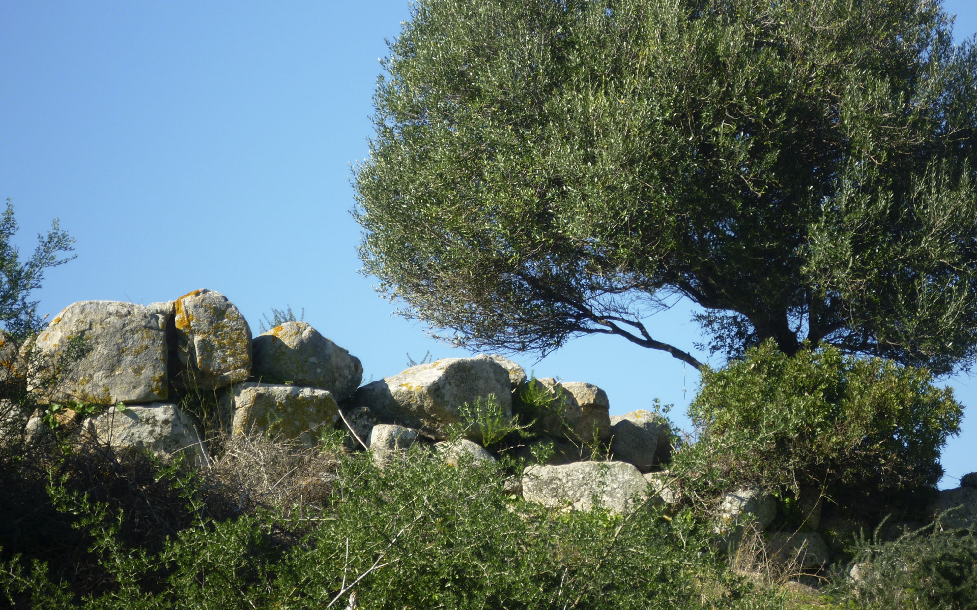 Nuraghe Torra